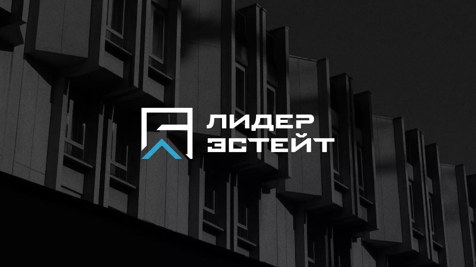 Разработка логотипа агентства недвижимости «Лидер Эстейт» в Лаишево