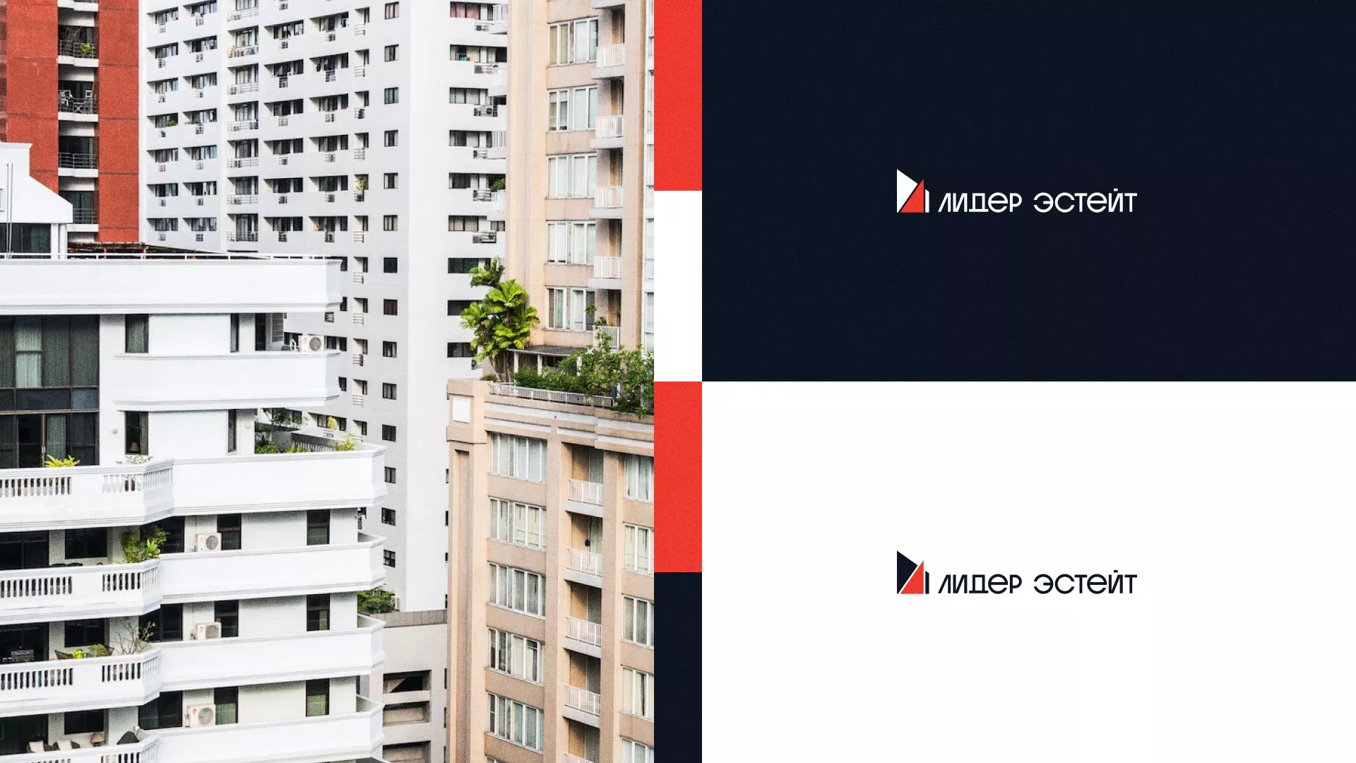 Сделали логотип для агентства недвижимости «Лидер Эстейт» в Лаишево